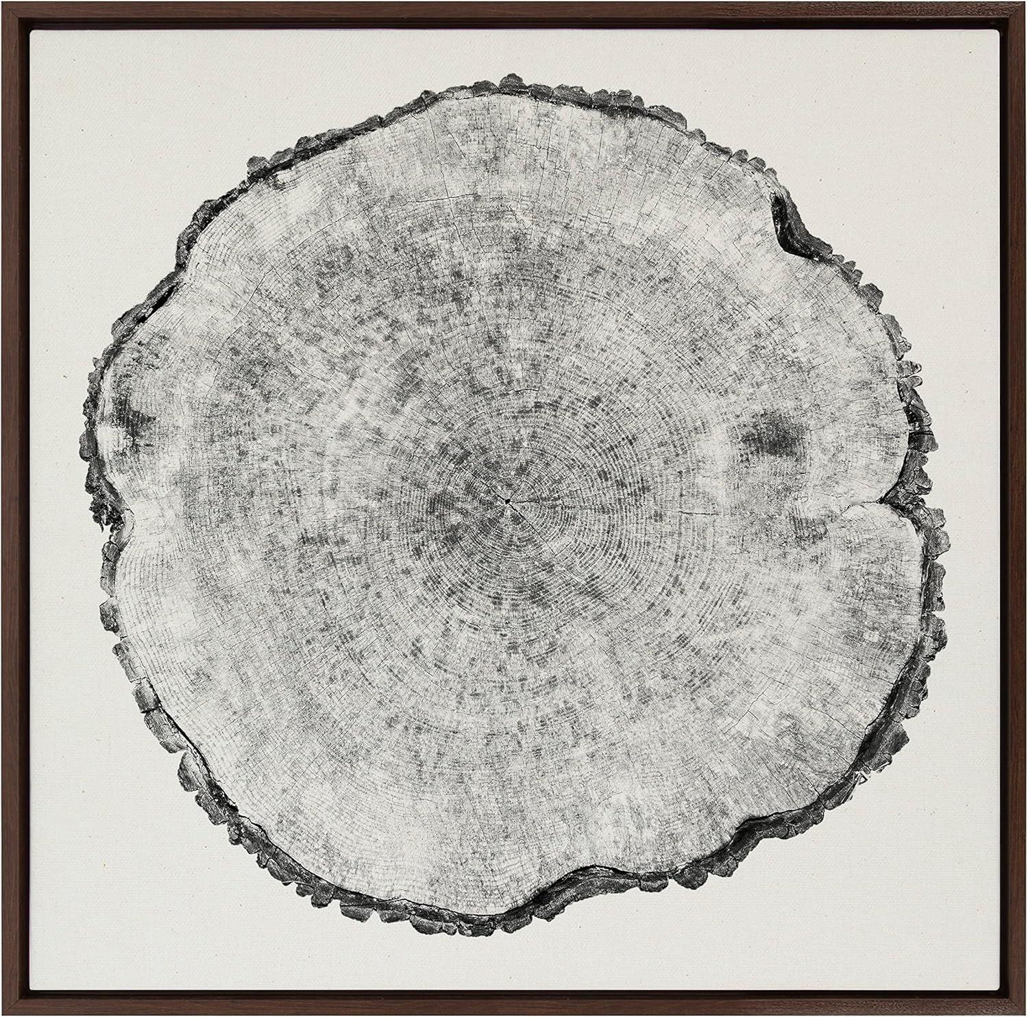 Kate and Laurel Sylvie Tree Rings Linen Framed Canvas by Emiko and Mark Franzen of F2Images, 30x30, Walnut Brown