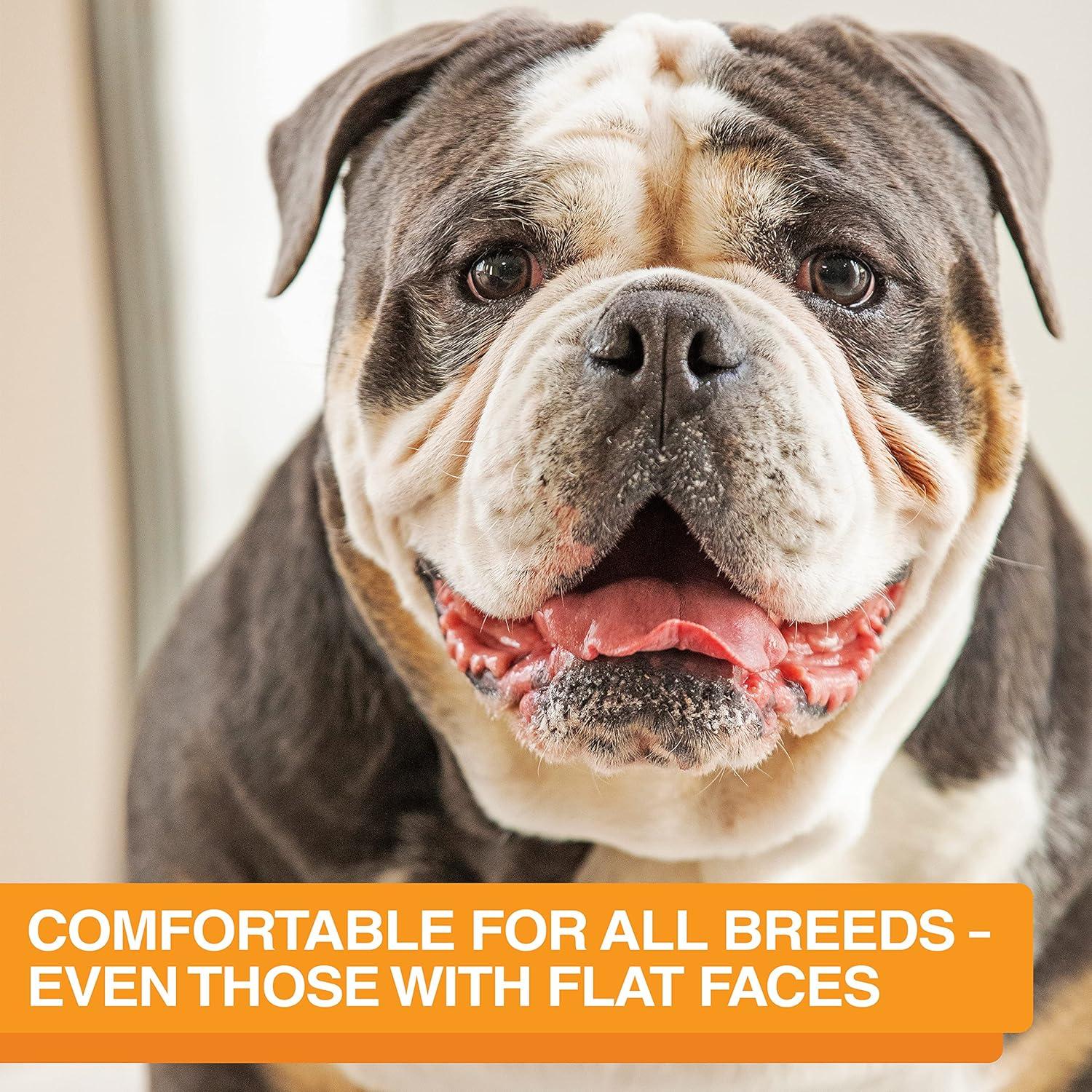 Neater Pets The Niner Slow Feed Bowl for Cats & Dogs - Slow Down Eating & Stop Bloat Vomit - 2 Cups Food Capacity