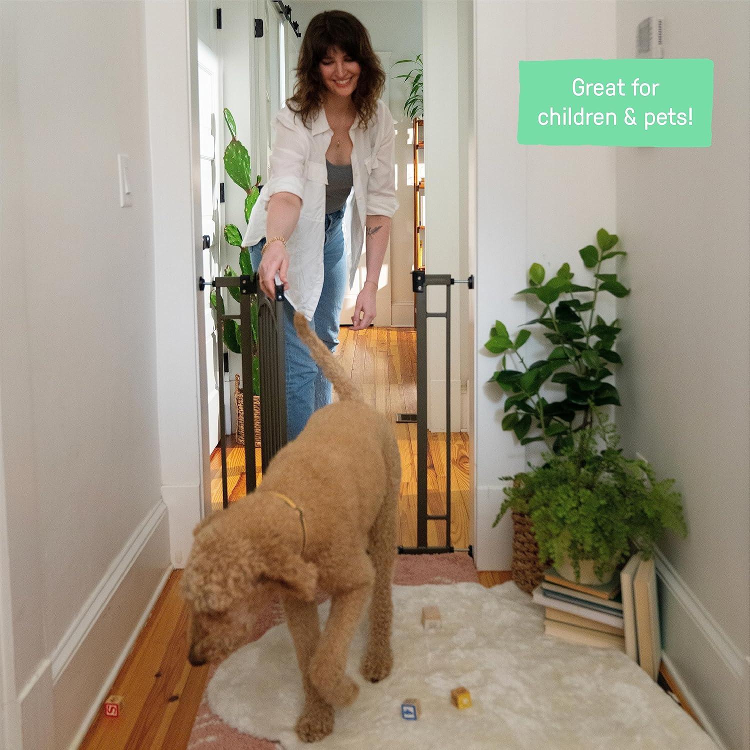 Ingenuity The Doorway 48W Series