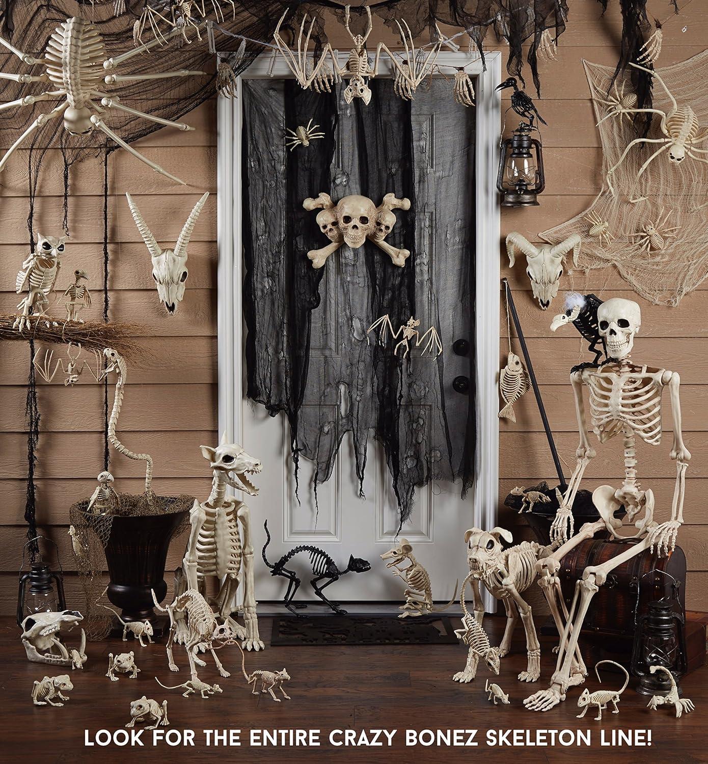 Crazy Bonez Pose-N-Stay Life Size 5 FT Skeleton with Realistic Posable and Movable Joints for Halloween Indoor and Outdoor Decoration