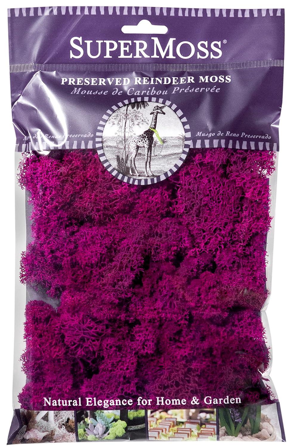 Super Moss  23164 Reindeer Moss Fuchsia, 2oz