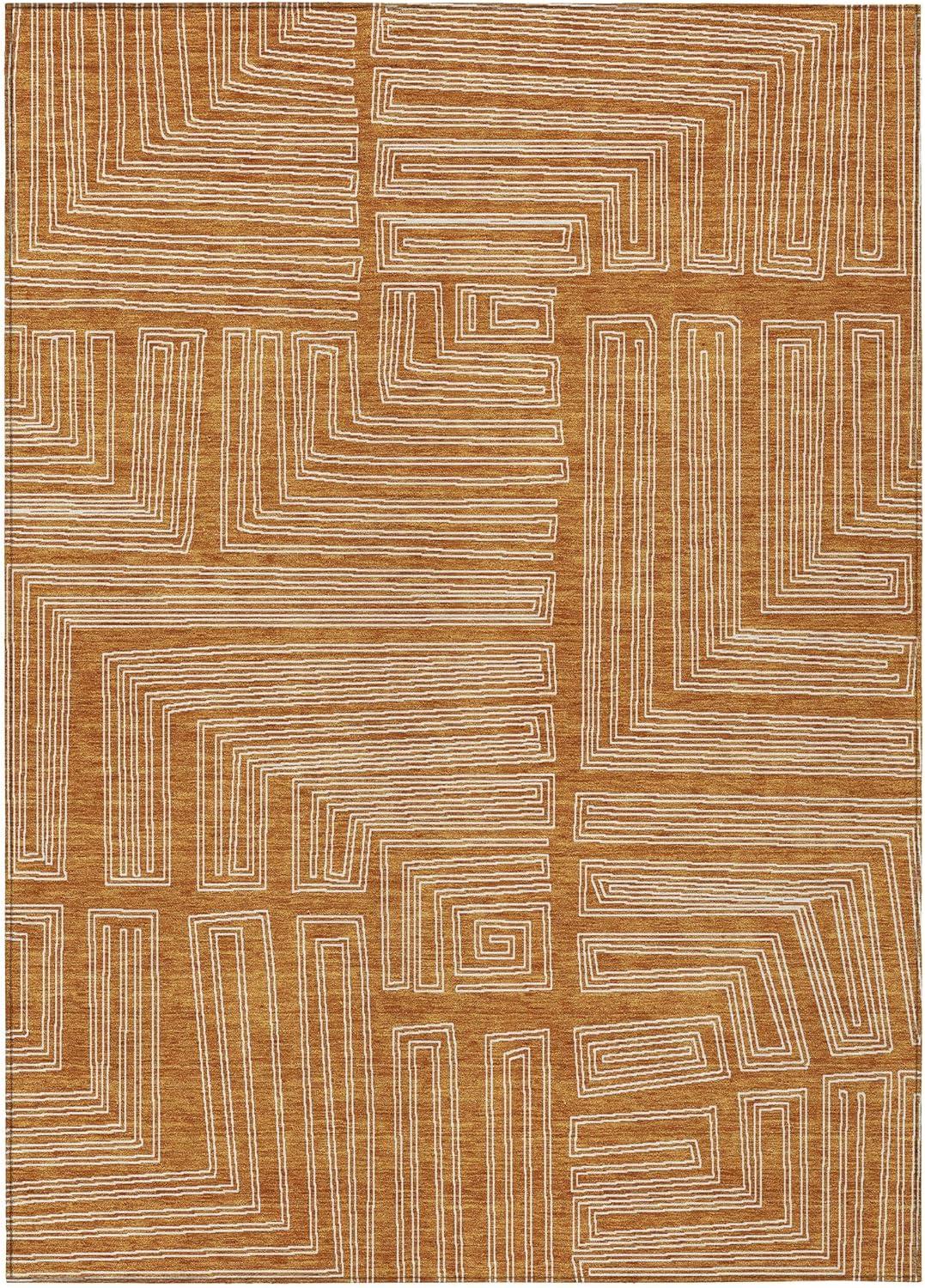 Machine Washable Indoor/Outdoor Chayden ACN1045 Paprika Rug