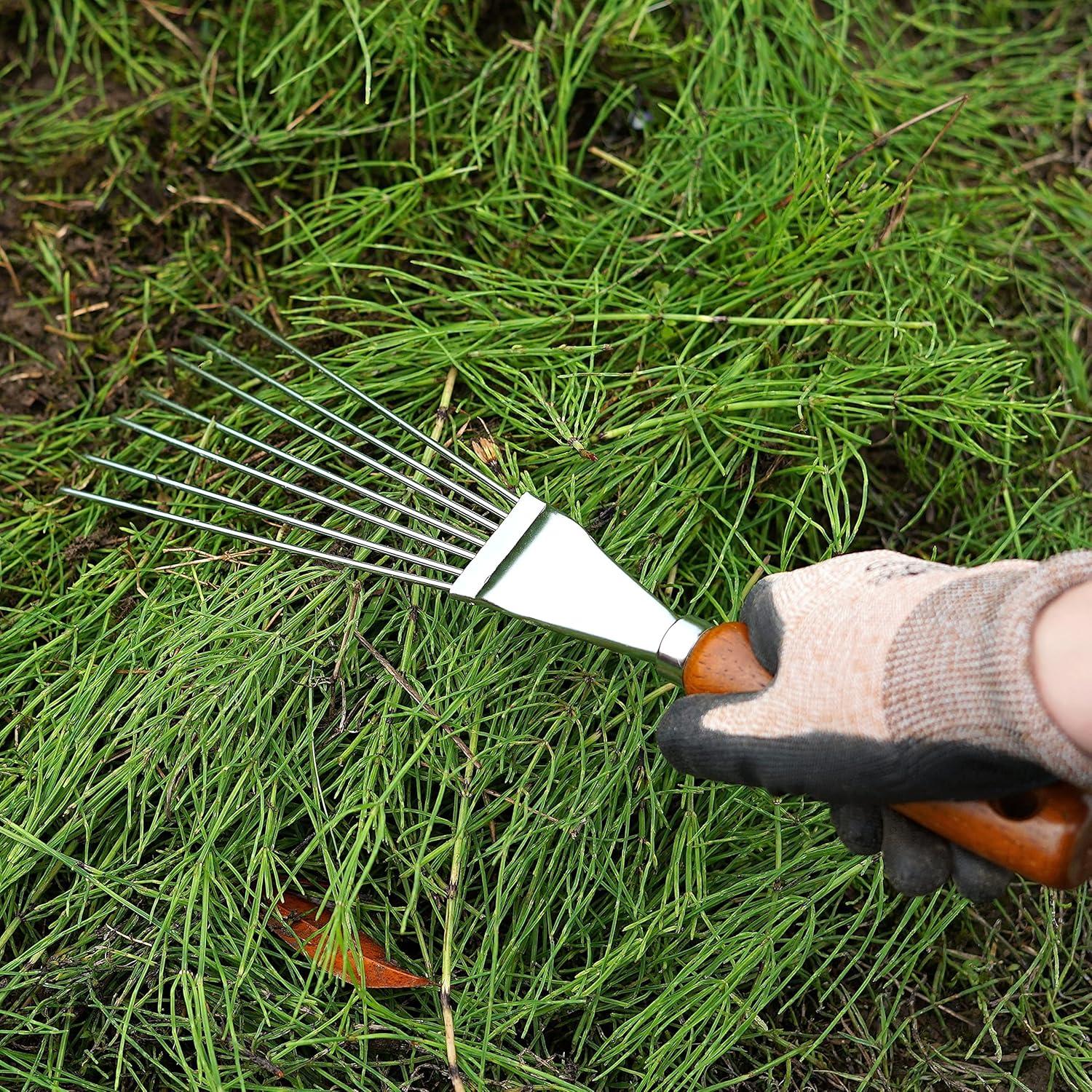 Japanese Hand Rake Garden Tool, Japanese Steel with Wood Handle, Small Rake for Leaves, Handheld Garden Cleaning Tool, Made in Japan, Silver C33