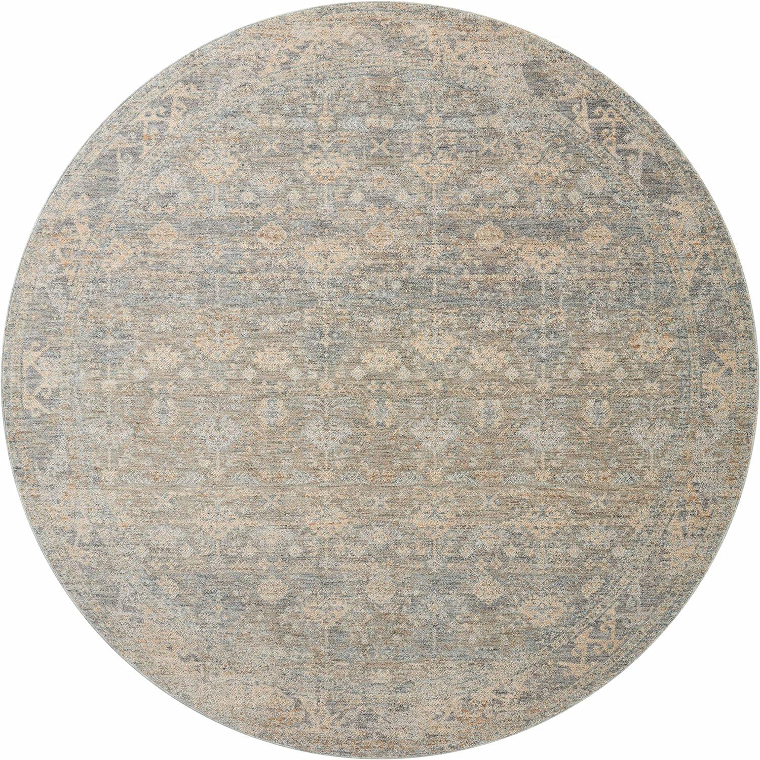 Angela Rose x Loloi Blake Sky / Beige Area Rug