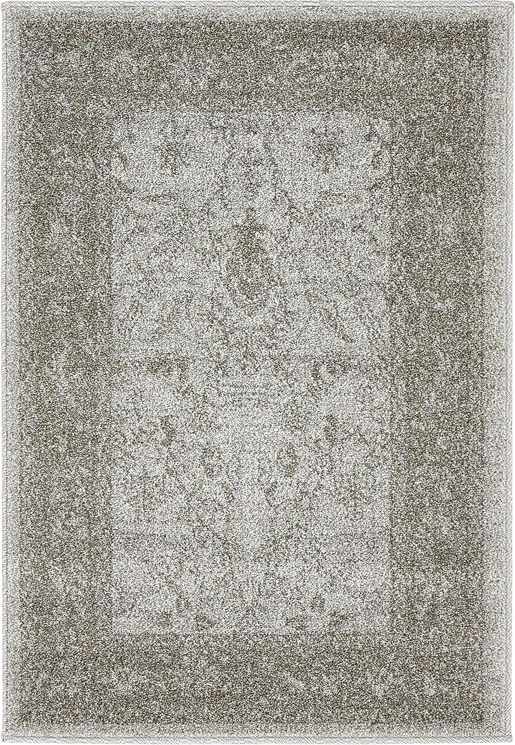 La Jolla Floral Light Gray 2' 2 x 3' 0 Area Rug