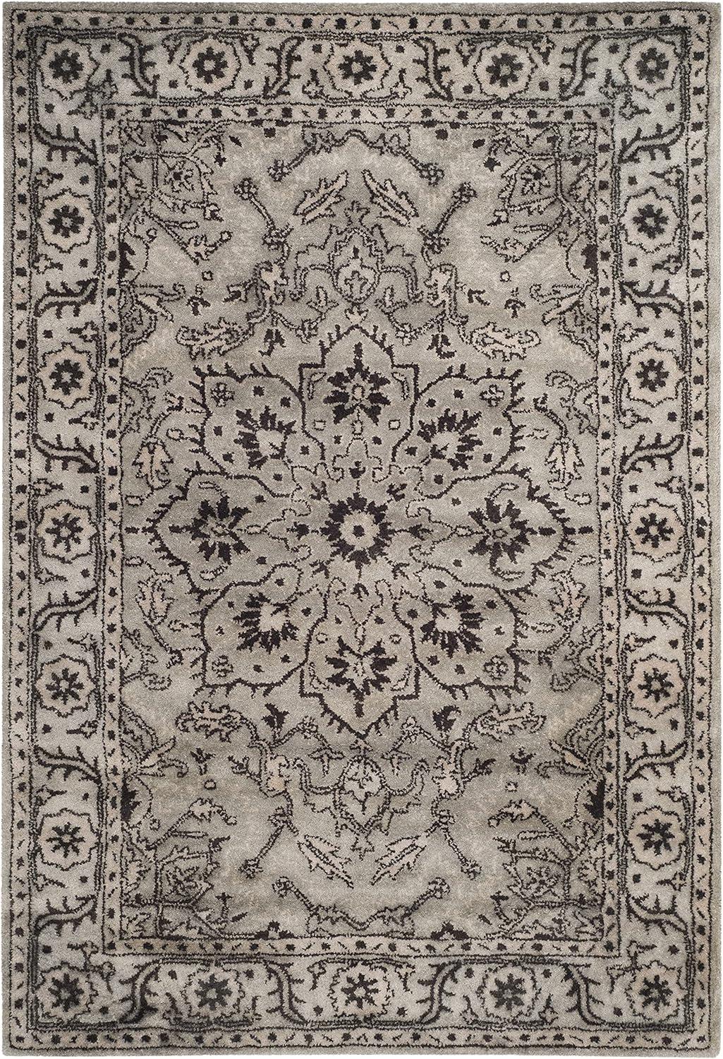 Antiquity AT58 Hand Tufted Area Rug  - Safavieh