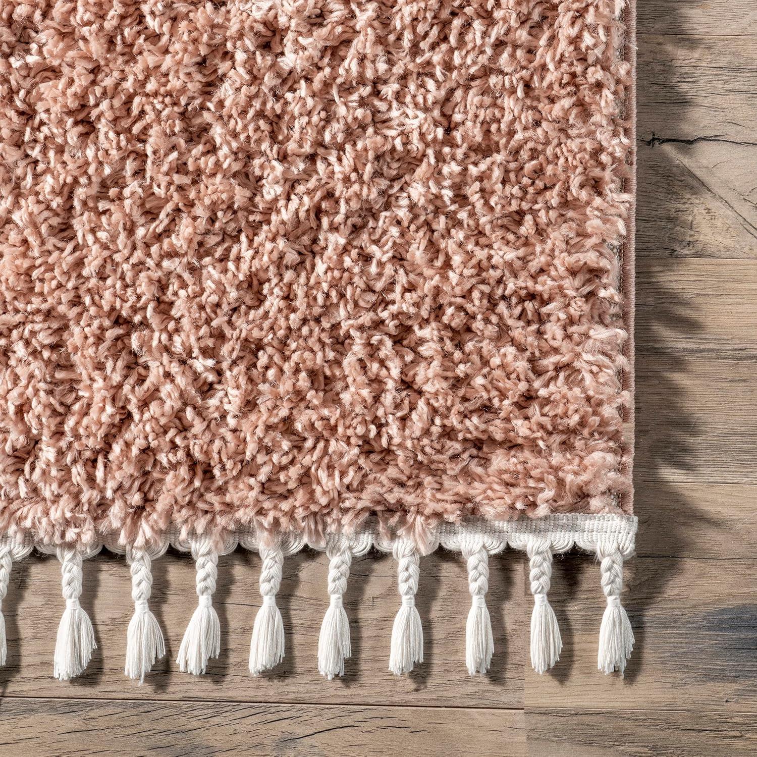 Luxe Braided Tassel Pink Shag Rug 2' x 3'