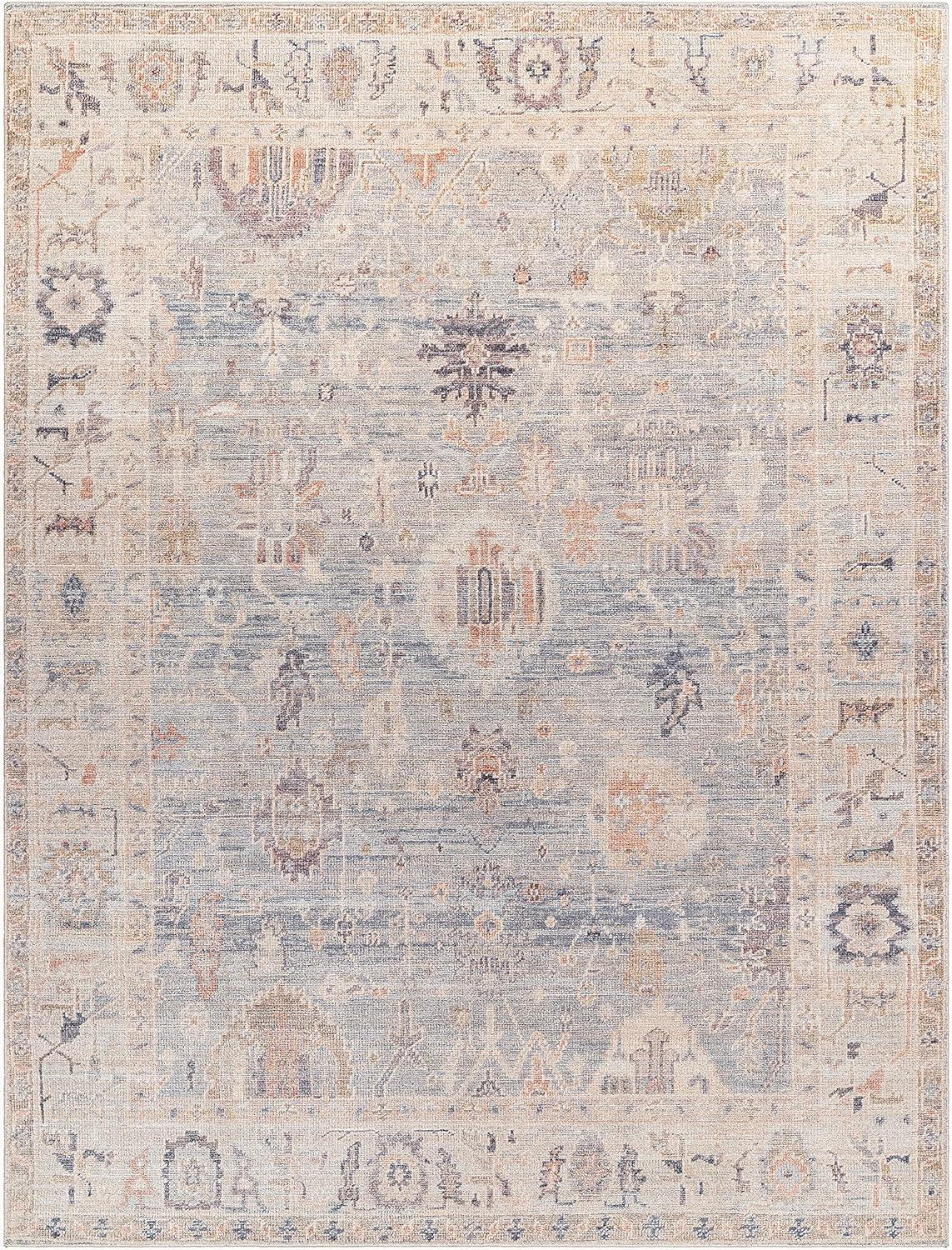 Becki Owens x Livabliss Vintage Traditional Oriental Boho Grey Pale Blue Area Rug