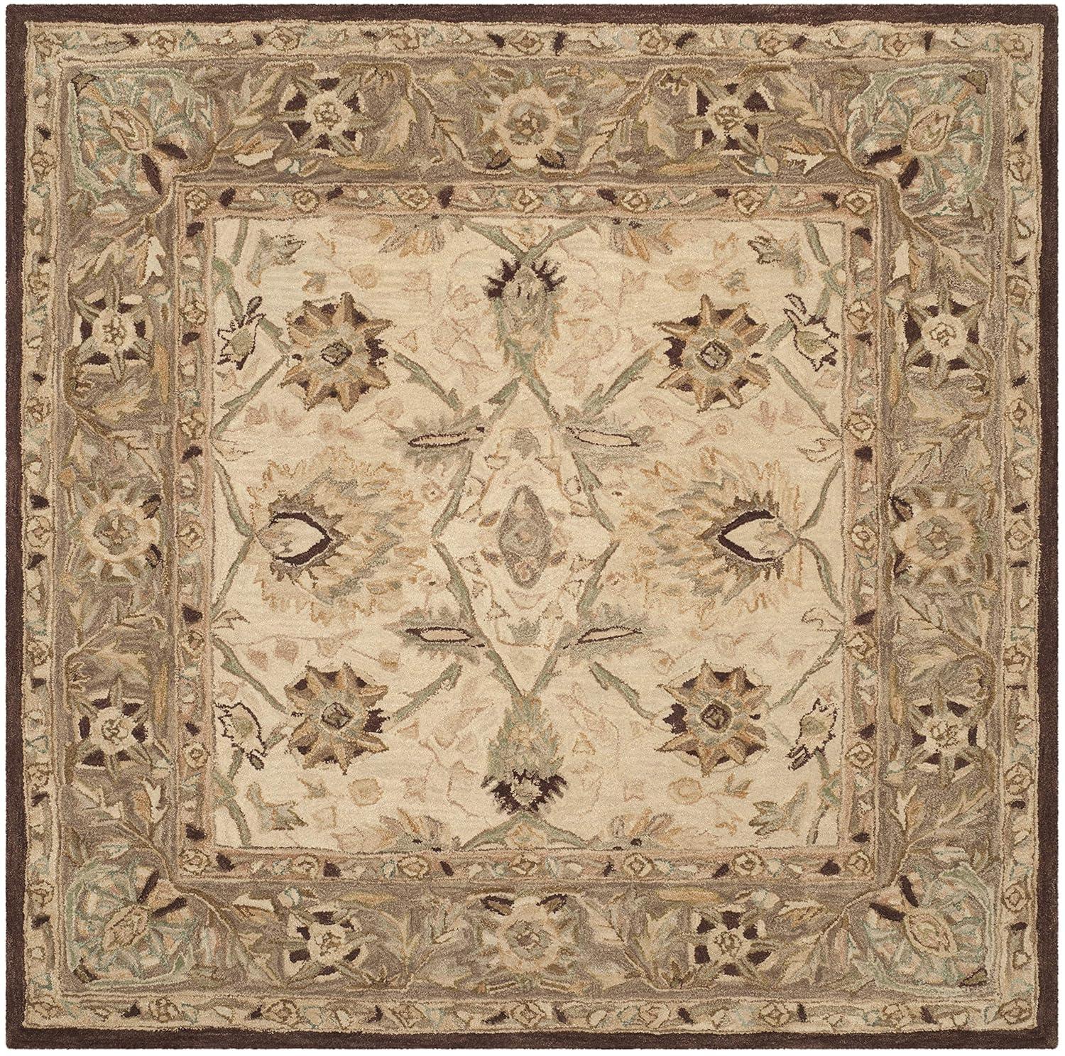 Anatolia AN512 Hand Tufted Indoor Area Rug - Ivory/Brown - 8'x8' - Safavieh