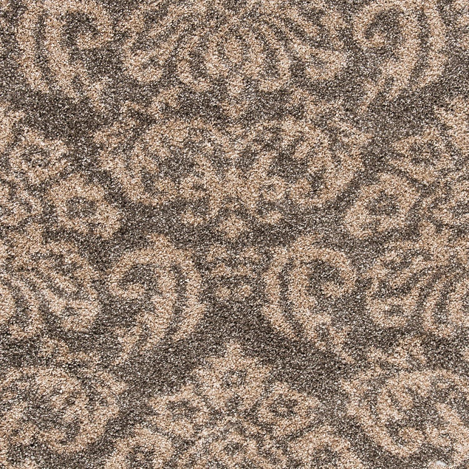 Florida Shag SG460 Power Loomed Area Rug  - Safavieh