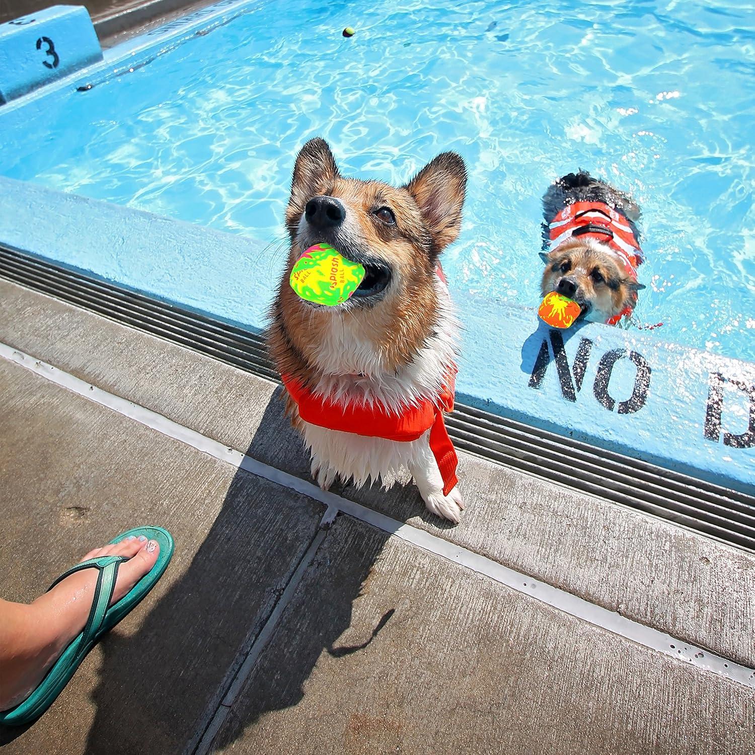 Big Mo's Toys Neon Splash Balls - Pack of 12