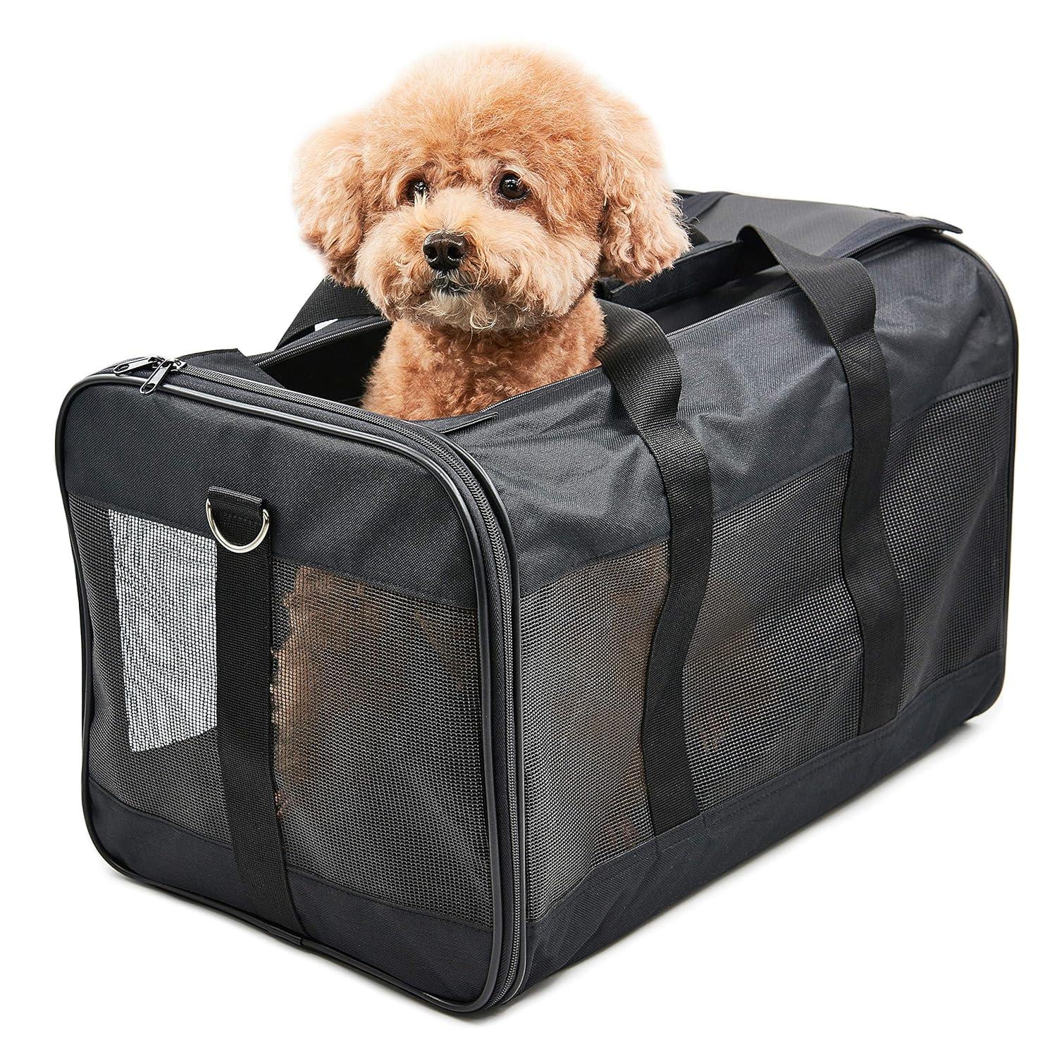 HITCH ScratchMe Pet Travel Carrier Soft Sided Portable Bag for Cats, Small Dogs, Kittens or Puppies, Collapsible, Durable, Airline Approved, Carry Your Pet with You Safely and Comfortably (L)