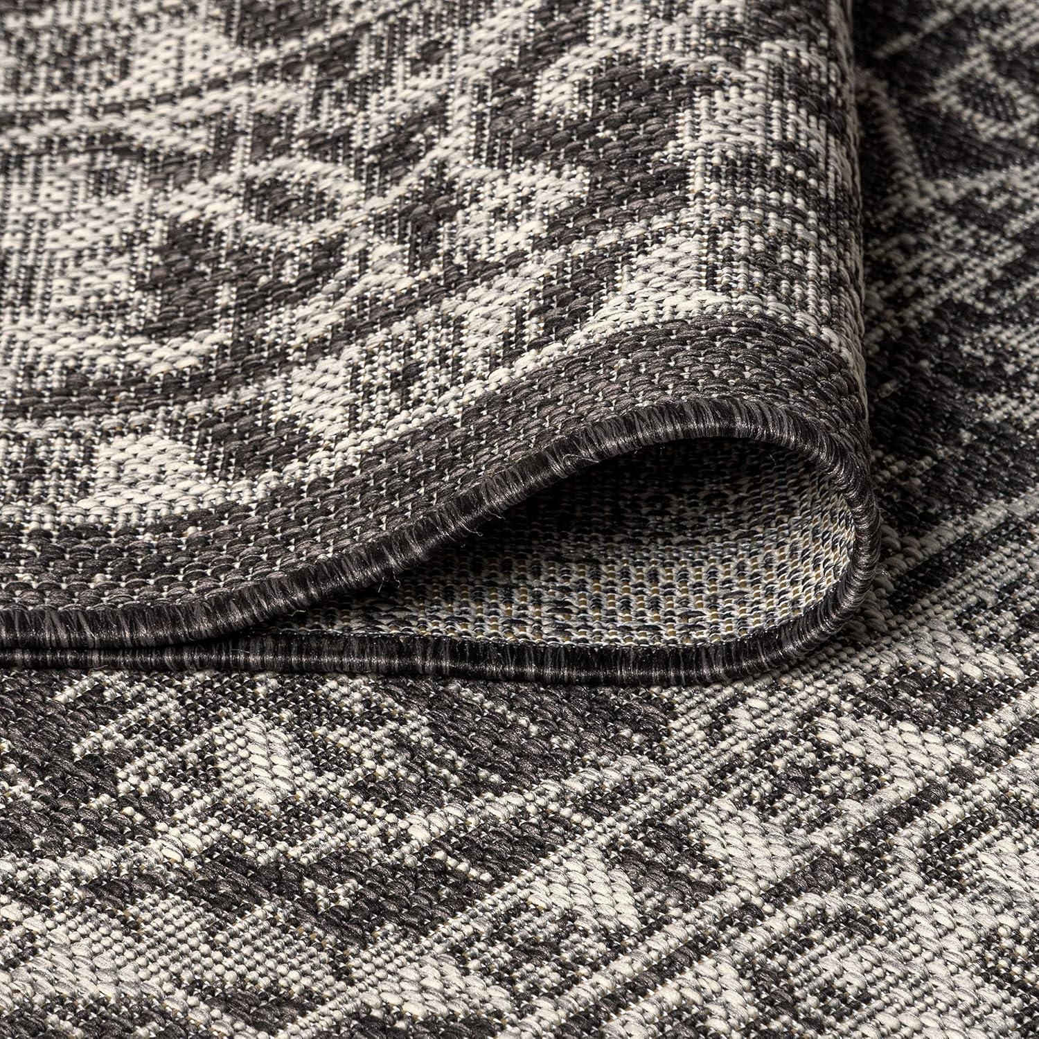 3'x5' Palazzo Vine and Border Textured Weave Indoor/Outdoor Area Rug, Black/Gray - JONATHAN Y