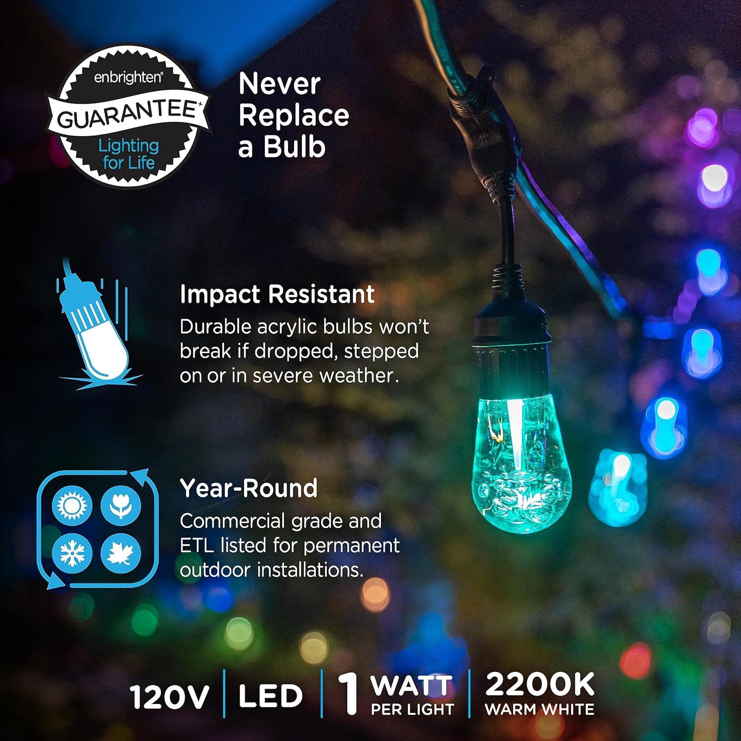 48ft Black Cord Color-Changing LED String Lights with Remote