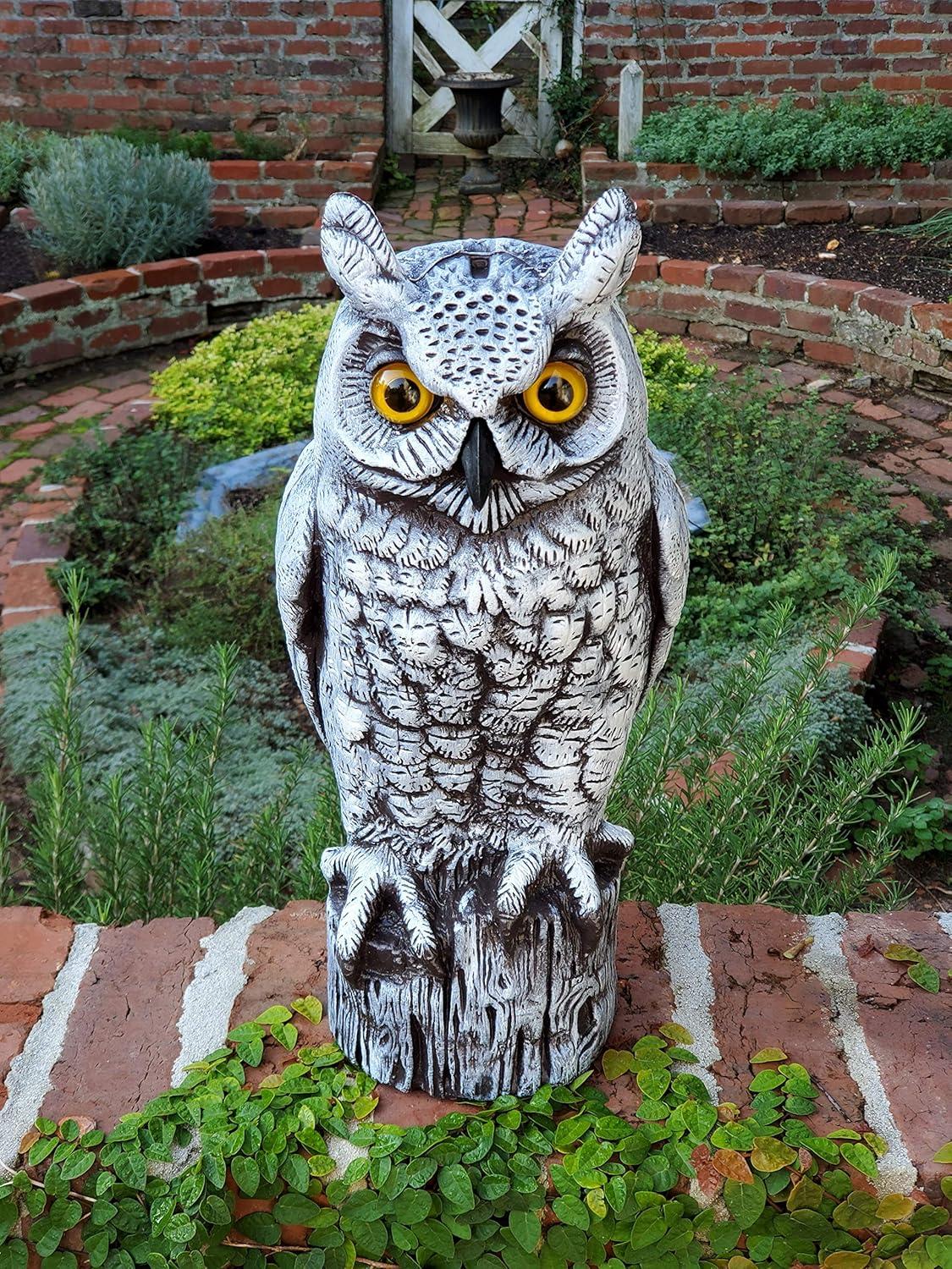 Dalen Fake Owl Decoy to Scare Birds Away from Gardens, Rooftops, and Patios - Scarecrow Provides Chemical-Free Pest Control - Safe and Humane, 16" Great Horned Owl - Snow White