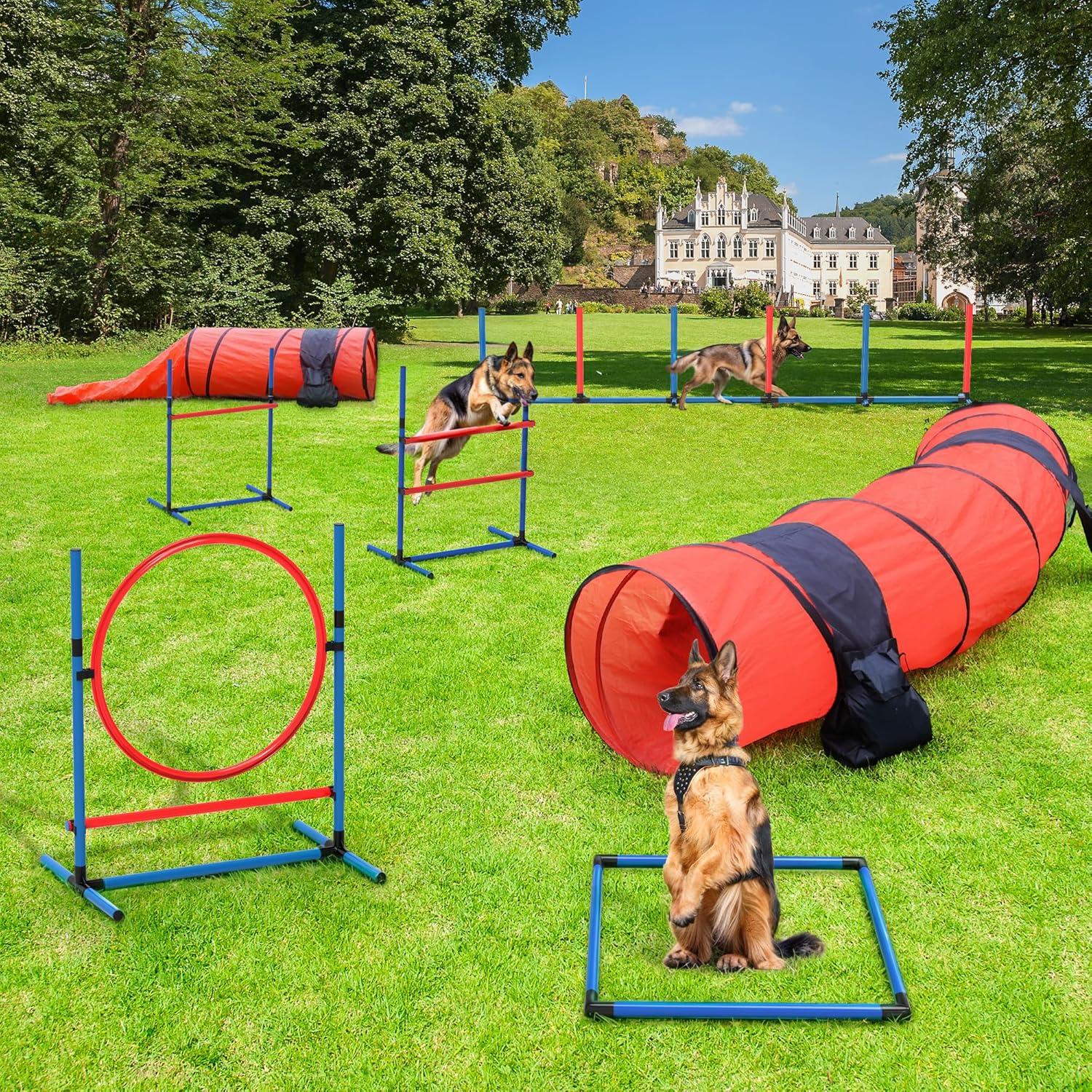 Dog Agility Training Equipments: Includes Flirt Pole Toy, 3 Flying Discs, 2 Agility Tunnel, 3 Jumps, 6 Weave Poles, Pause Box, Dog Agility Course Backyard Set Indoors Outdoors