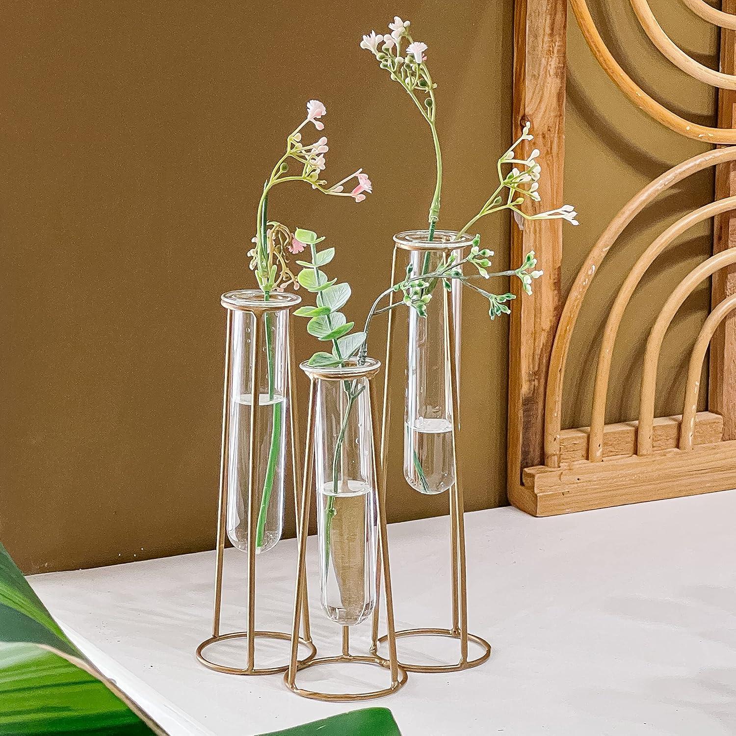 Propagation Station Terrariums with Gold Metal Stand - Kate Aspen | 3 Glass Test Tube Planters for Indoor Plants, Air Plants, Plant Clippings, Herbs, Succulents | Home Decor and Table Decoration