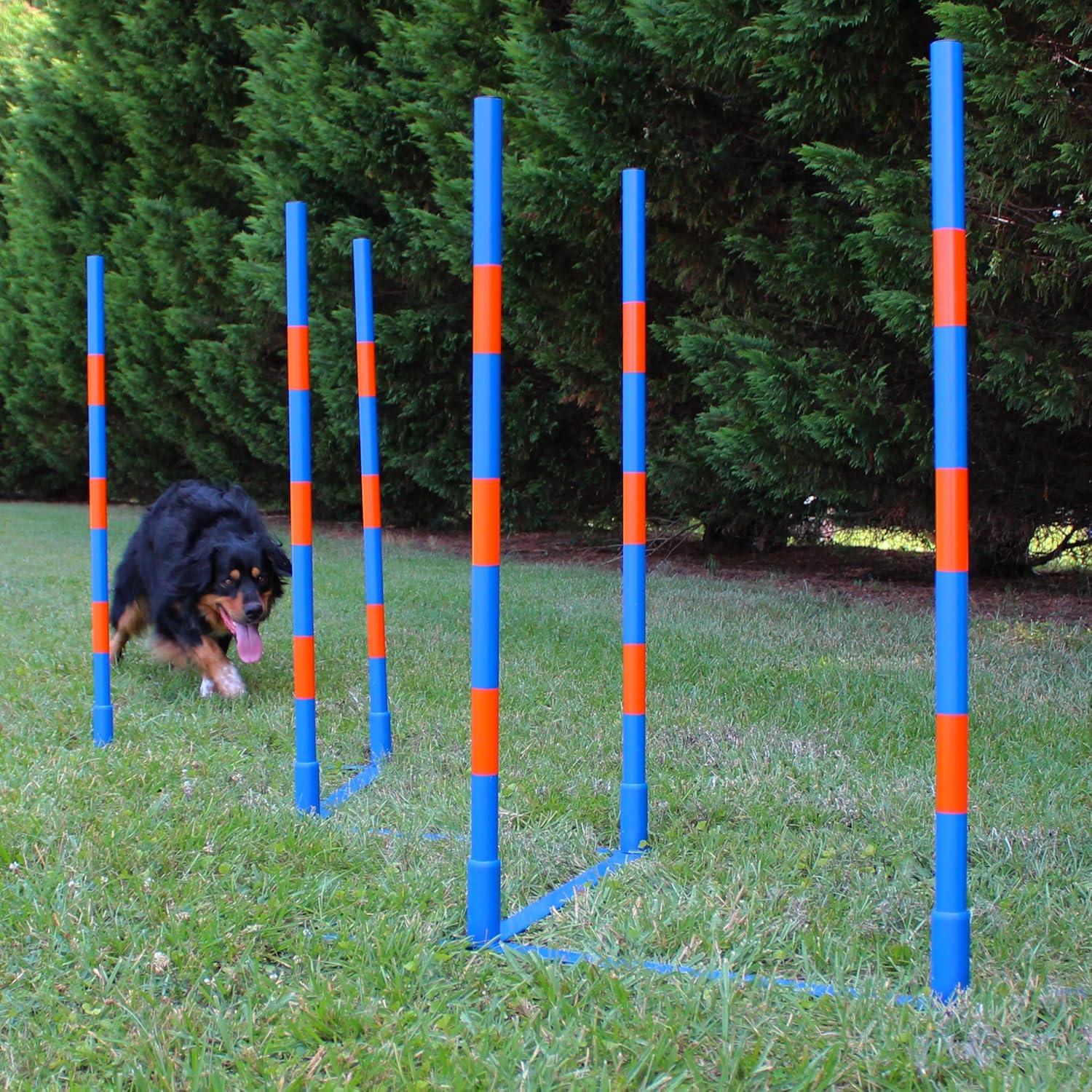 Adjustable Blue and Orange Dog Agility Weave Pole Set with Carrying Case