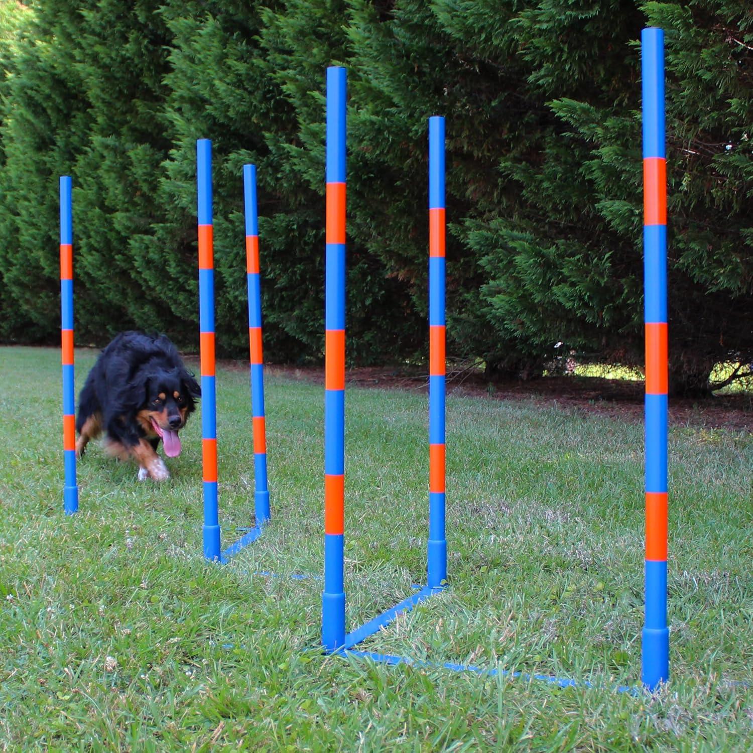 Lord Anson™ Dog Agility Weave Poles - Competition Grade Adjustable Agility Weave Pole Set - Dog Agility Equipment Set - 6 Weave Pole Set w/Carrying Case