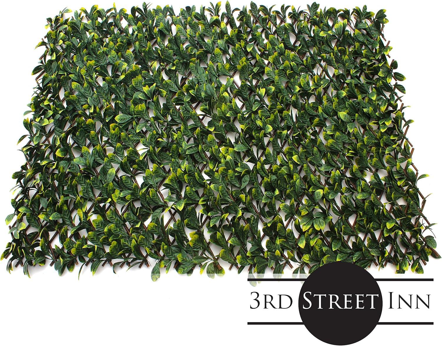 3rd Street Inn 1.6 ft. H x 9 ft. W Bamboo Privacy Screen (Set of 4)