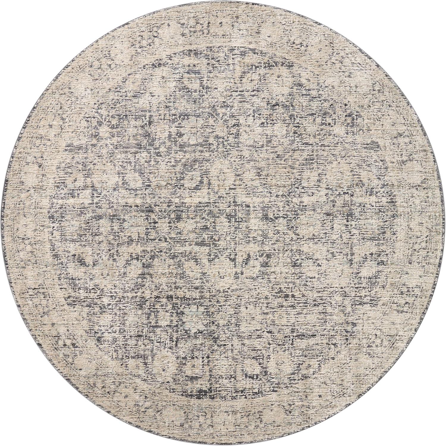Amber Lewis x Loloi Alie Charcoal / Beige Area Rug