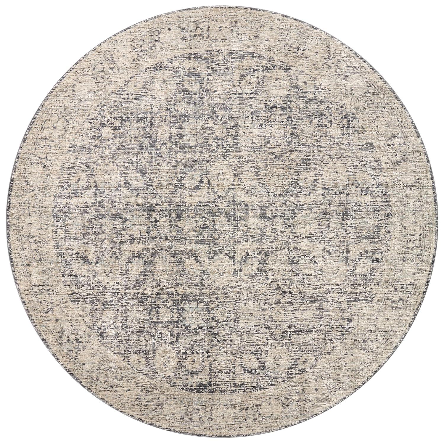 Amber Lewis x Loloi Alie Charcoal / Beige Area Rug