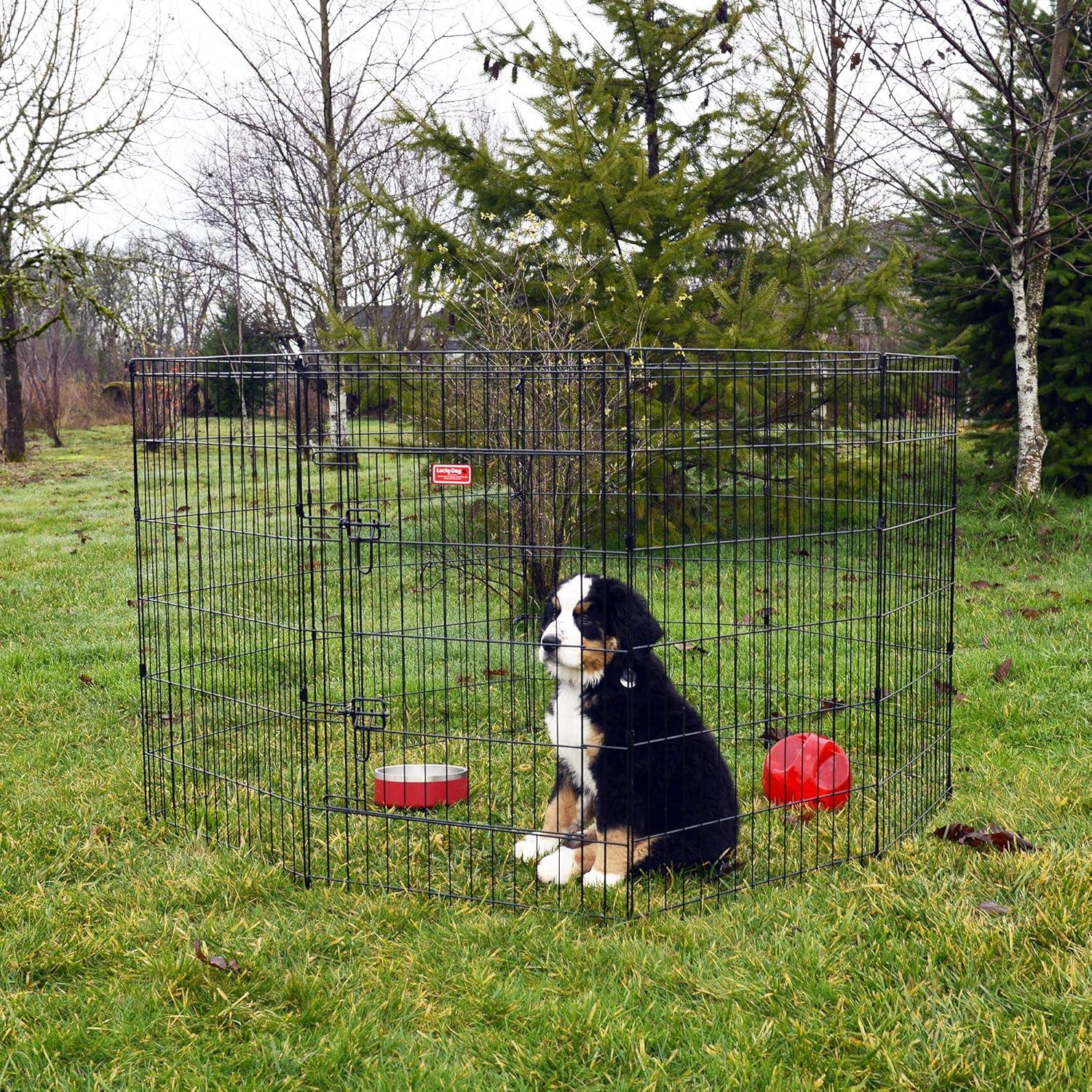 Foldable Metal Exercise Pet Play Pen for Dogs, Chickens, Rabbits and more