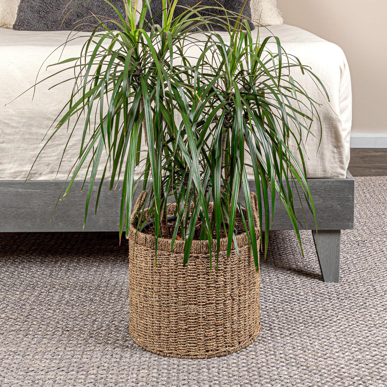 Round Seagrass Basket with Handles, Natural