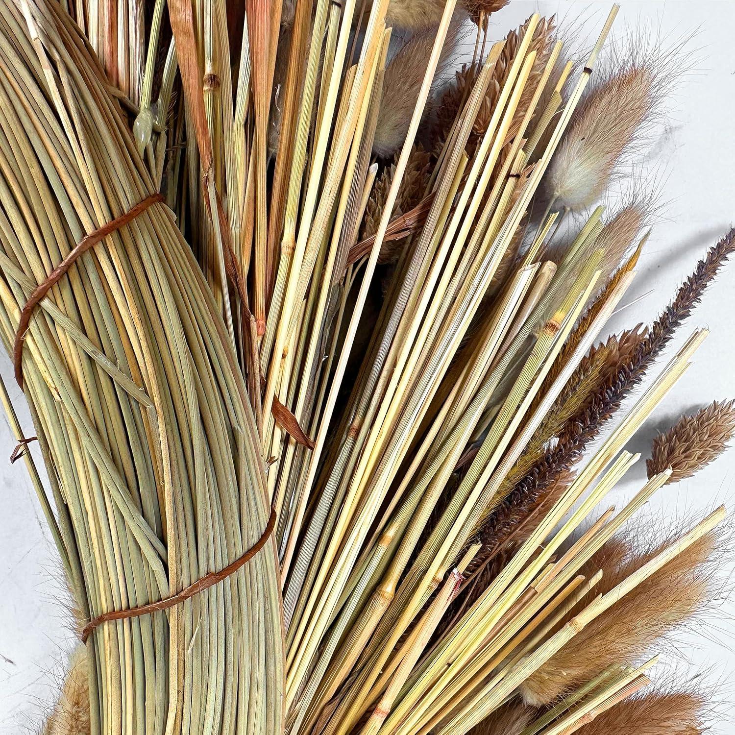 Galt International 21" Preserved Golden Natural Dried Wheat Wreath Straw Grain Wreath for Front Door Farmhouse Decorations Home Decor Pampas