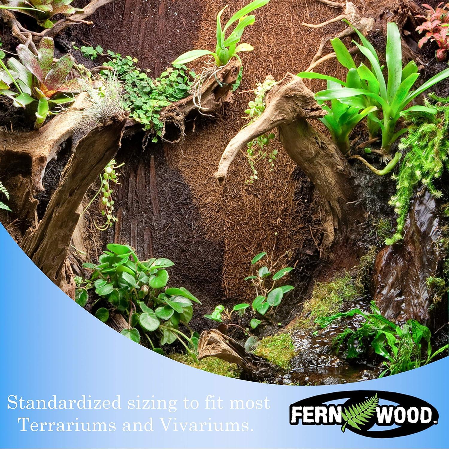Fern Wood New Zealand Tree Fern Tropical Background Panel 18x6x0.6 Twin Pack