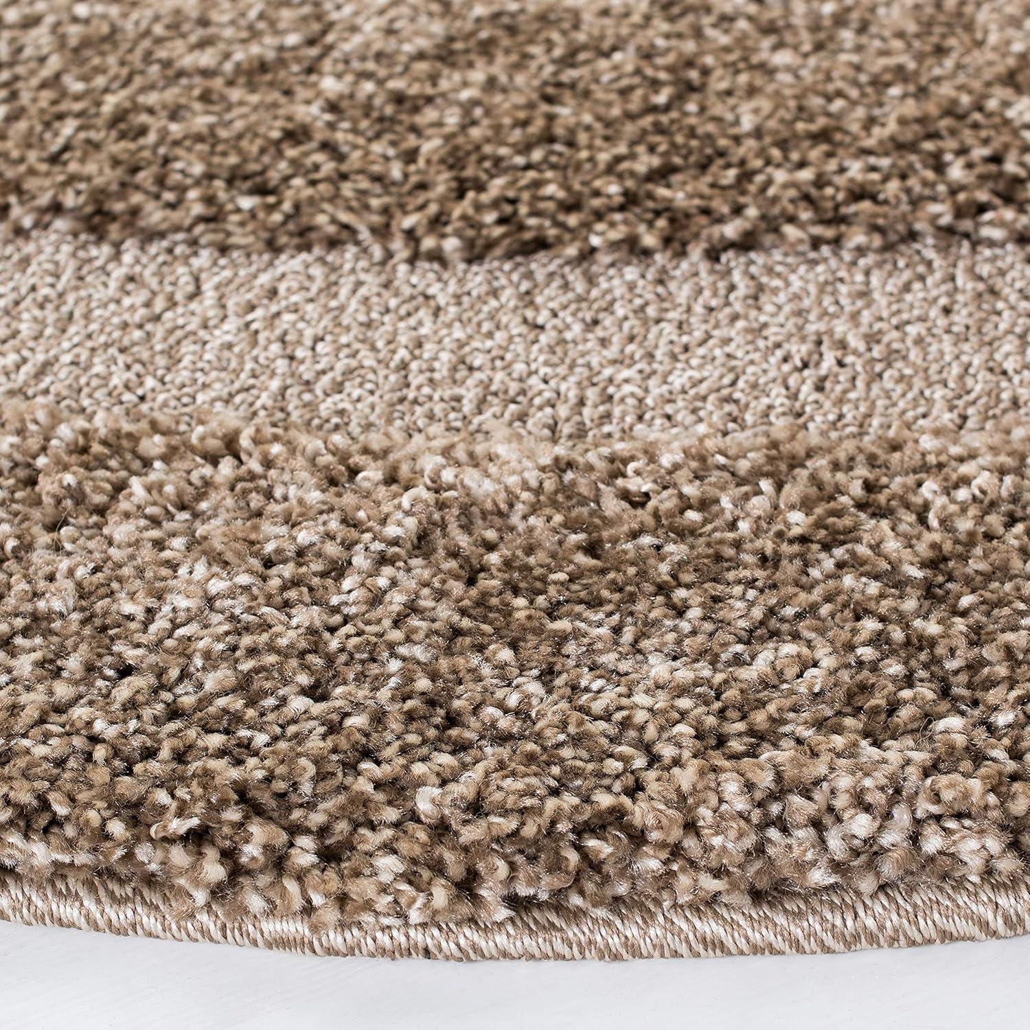 Florida Shag SG454 Power Loomed Area Rug  - Safavieh