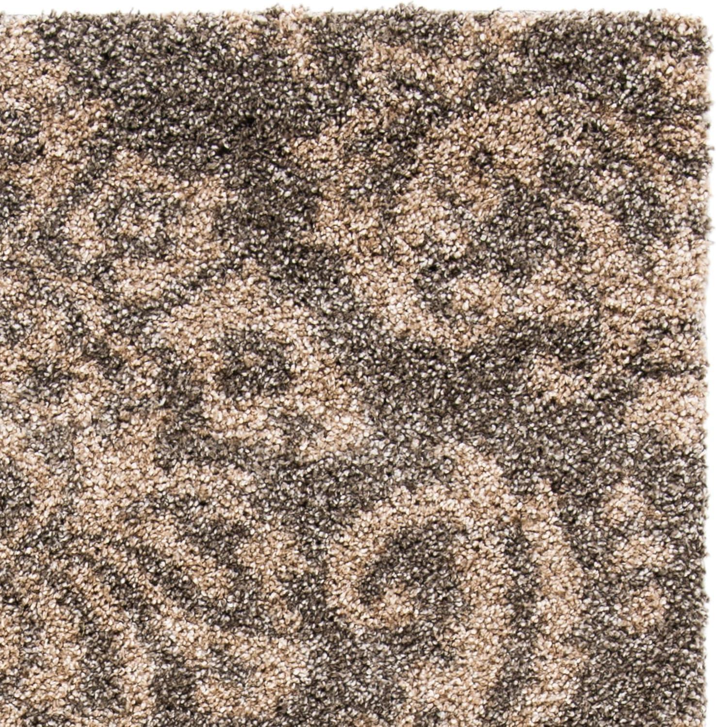 Florida Shag SG460 Power Loomed Area Rug  - Safavieh