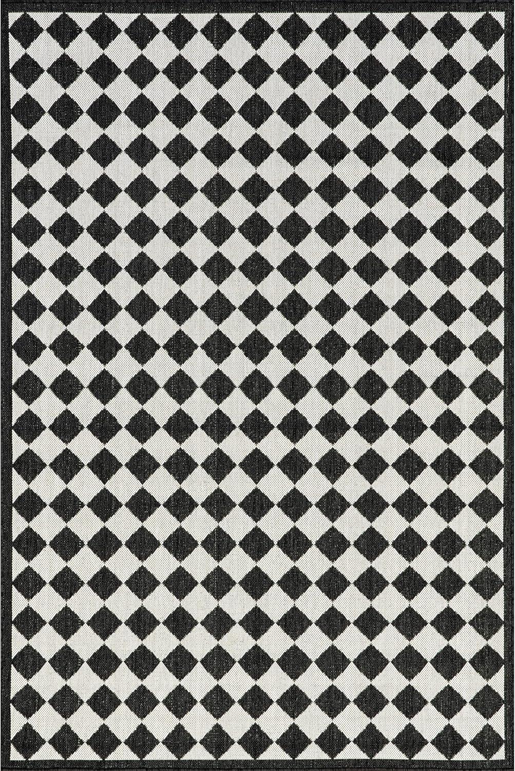 Myka Checkered Indoor/Outdoor Area Rug