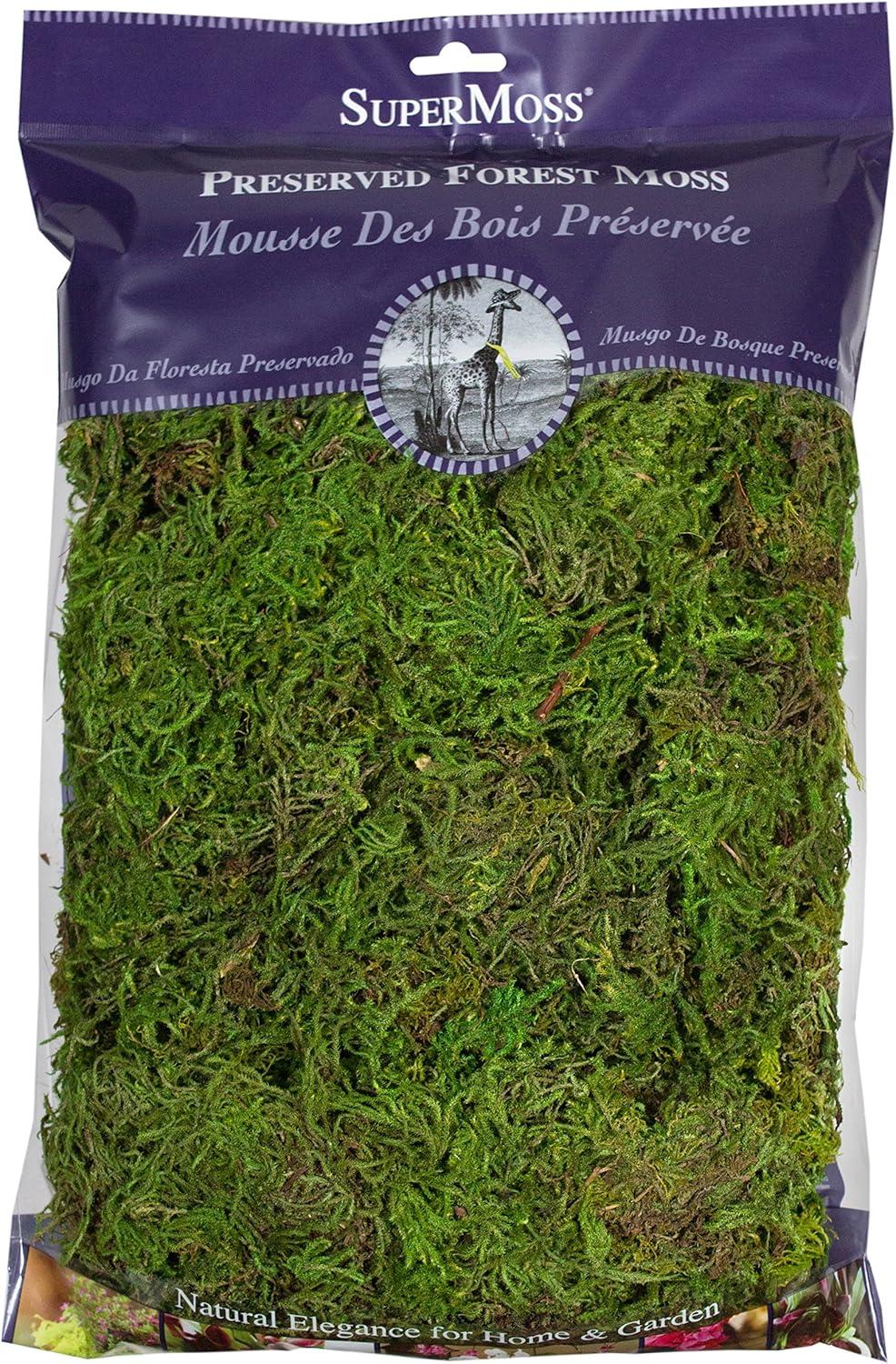 SuperMoss Preserved Forest Moss Decorative Filler: Basket Liner, Soil Topper, Craft Projects - Green