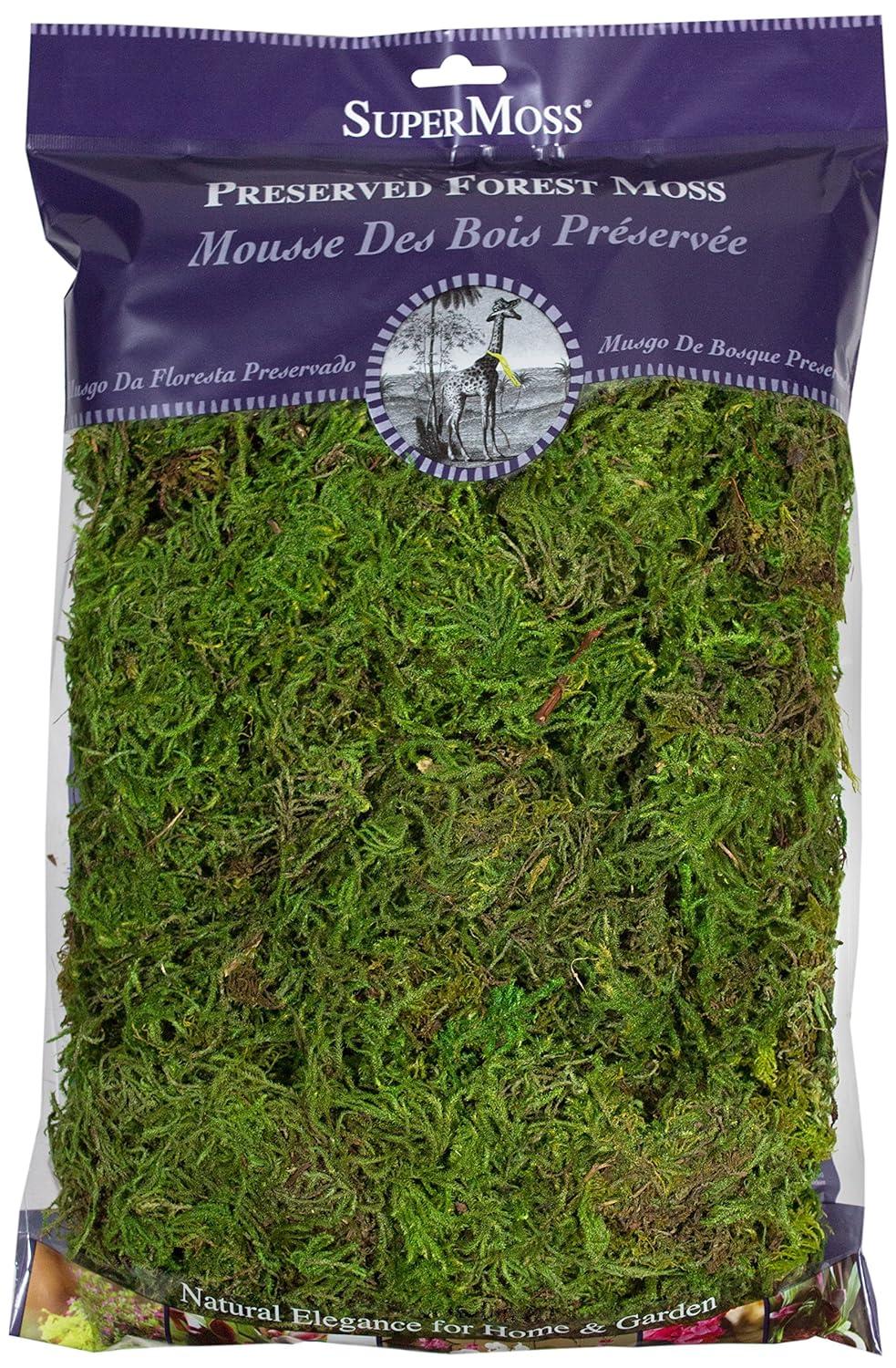 SuperMoss Preserved Forest Moss Decorative Filler: Basket Liner, Soil Topper, Craft Projects - Green