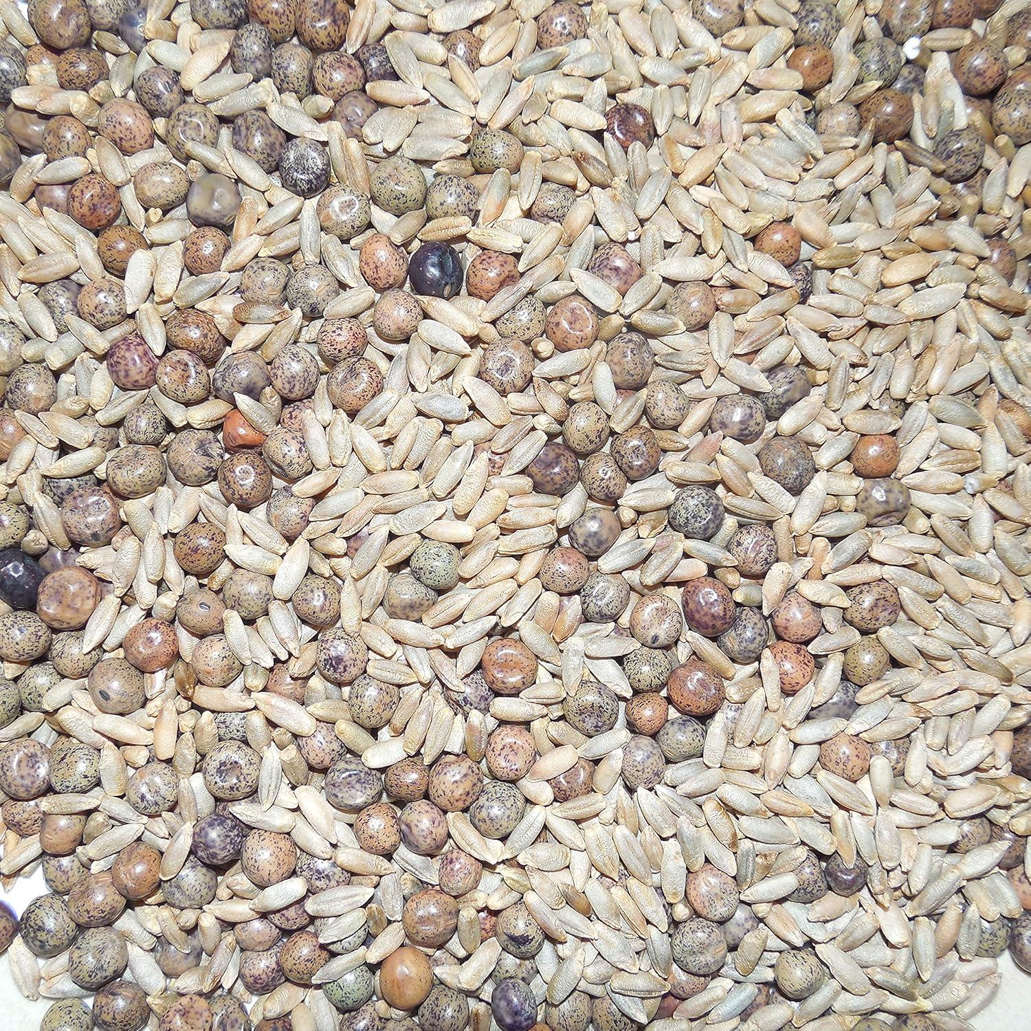 Antler King Fall-Winter-Spring Food Plot Blend