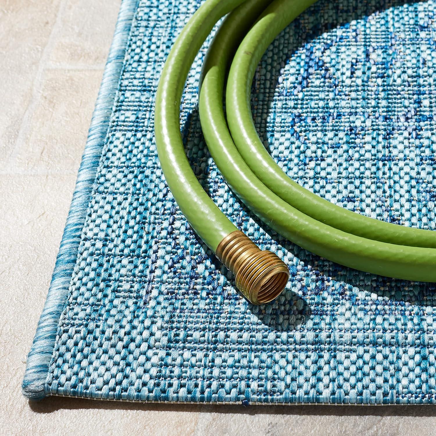 Courtyard Performance Oriental Rug