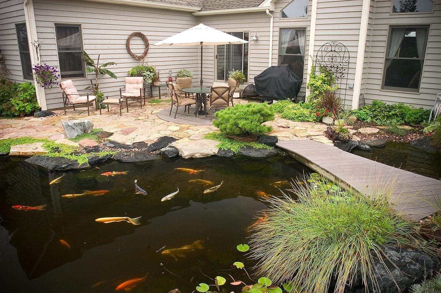 Aquascape 98894 Cold Water Beneficial Bacteria for Pond and Water Features, 32-Ounce