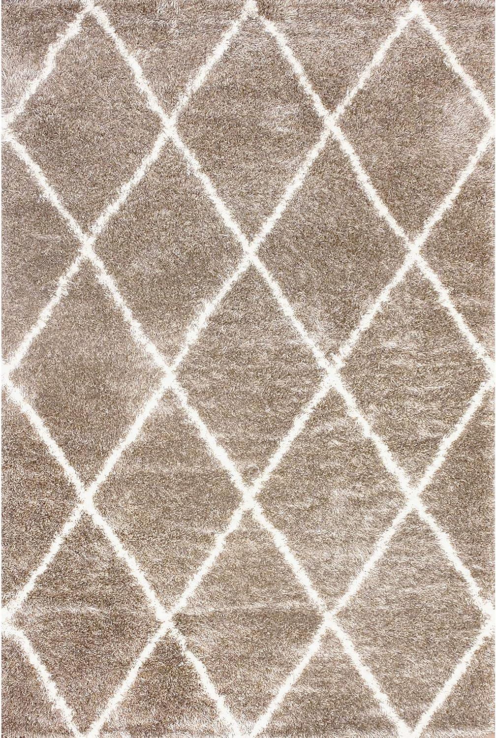 4'x6' Machine Made Diamond Shag Area Rug Ash- nuLOOM: Modern Trellis Design, High Pile, Stain-Resistant, Indoor Use