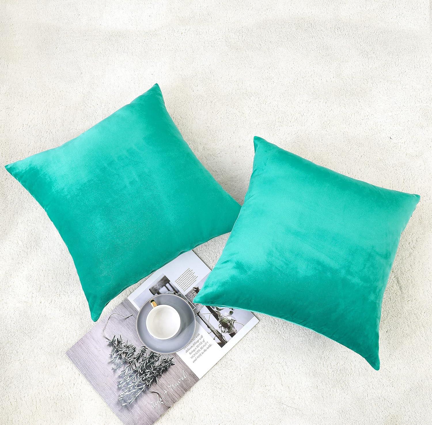 PAVILIA Set of 2 Throw Pillow Covers, Decorative Velvet Square Cushion Cases for Bed Sofa Couch Bedroom Living Room, Red/20 x 20