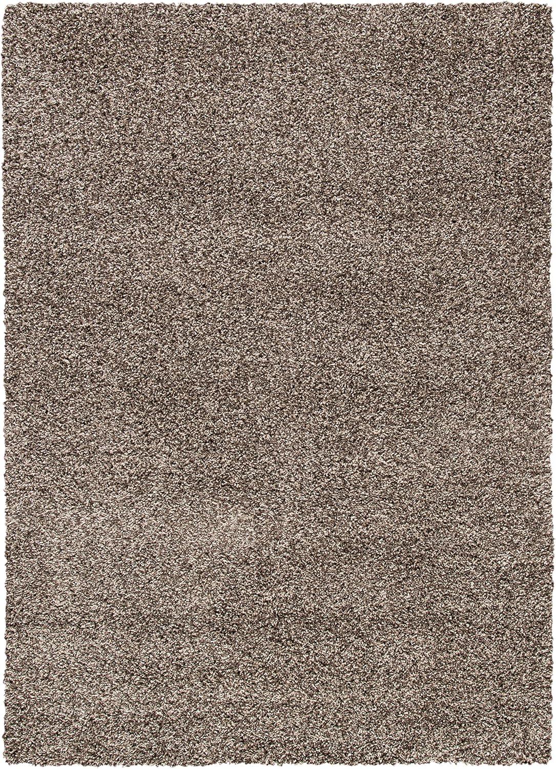 SAFAVIEH Evolution Rothesay Solid Plush Shag Area Rug, Brown, 3'11" x 6'