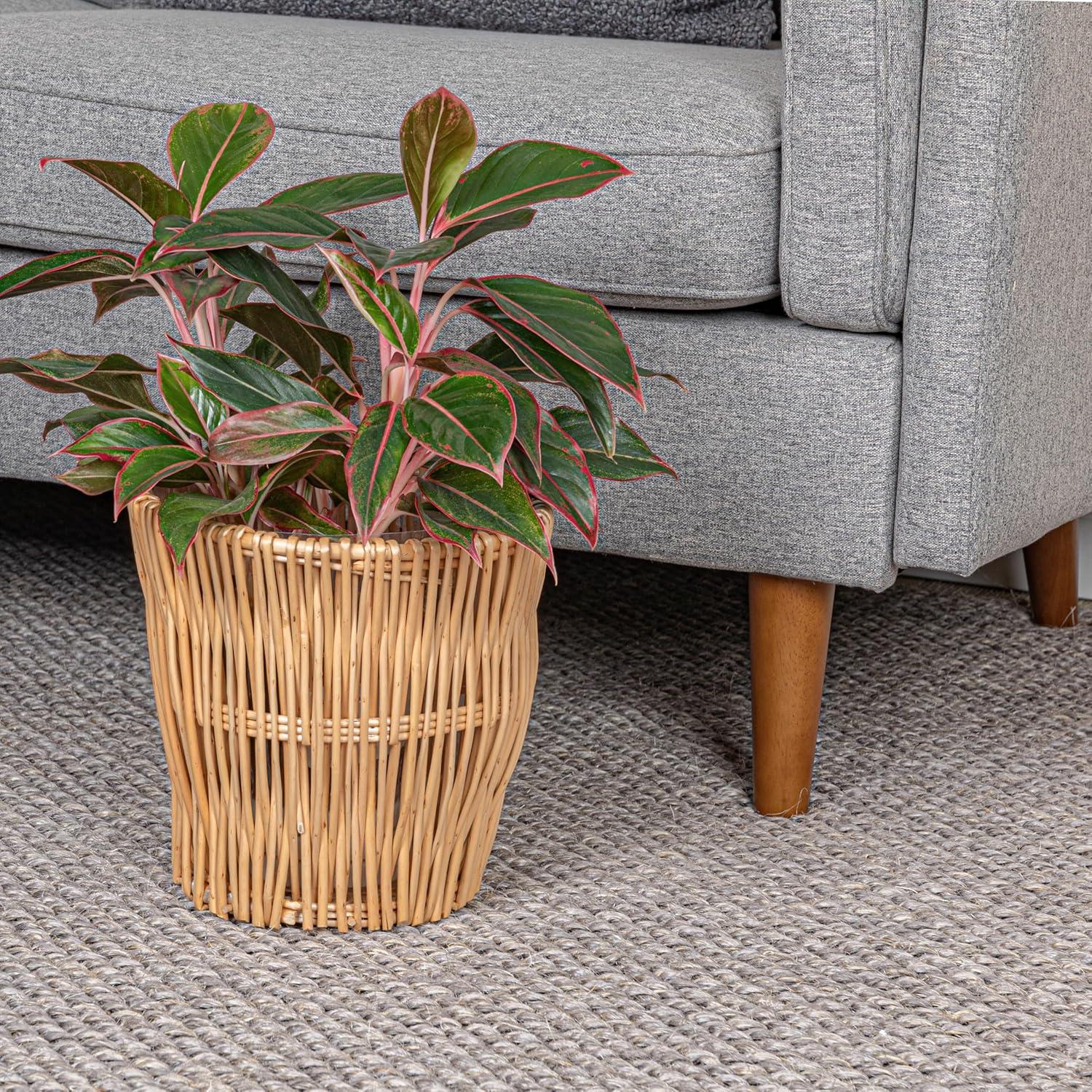 Household Essentials Small Reed Willow Waste Basket, Handwoven Basket with Removable Liner, Attractive Alternative to Plastic or Metal Cans, Natural