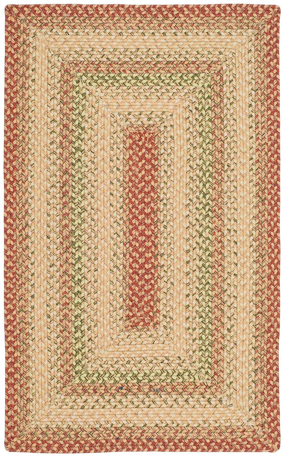 Braided BRD303 Hand Woven Accent Rug - Rust/Multi - 2'x3' - Safavieh.