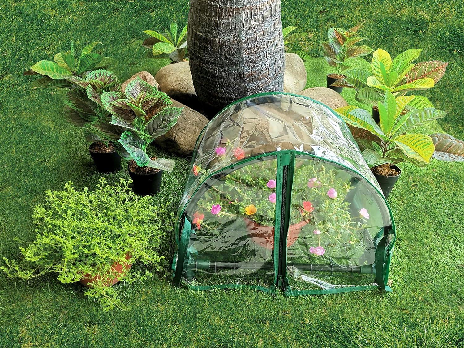 1.5 Ft. W x 1 Ft. D Mini Greenhouse