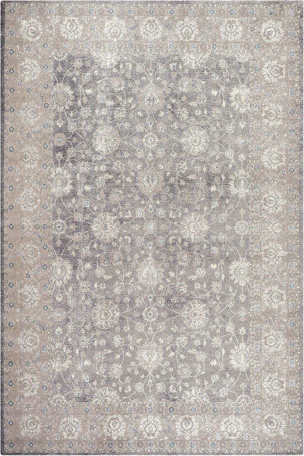 Sofia SOF330 Power Loomed Indoor Area Rug - Light Grey/Beige - 5'1"x7'7" - Safavieh.