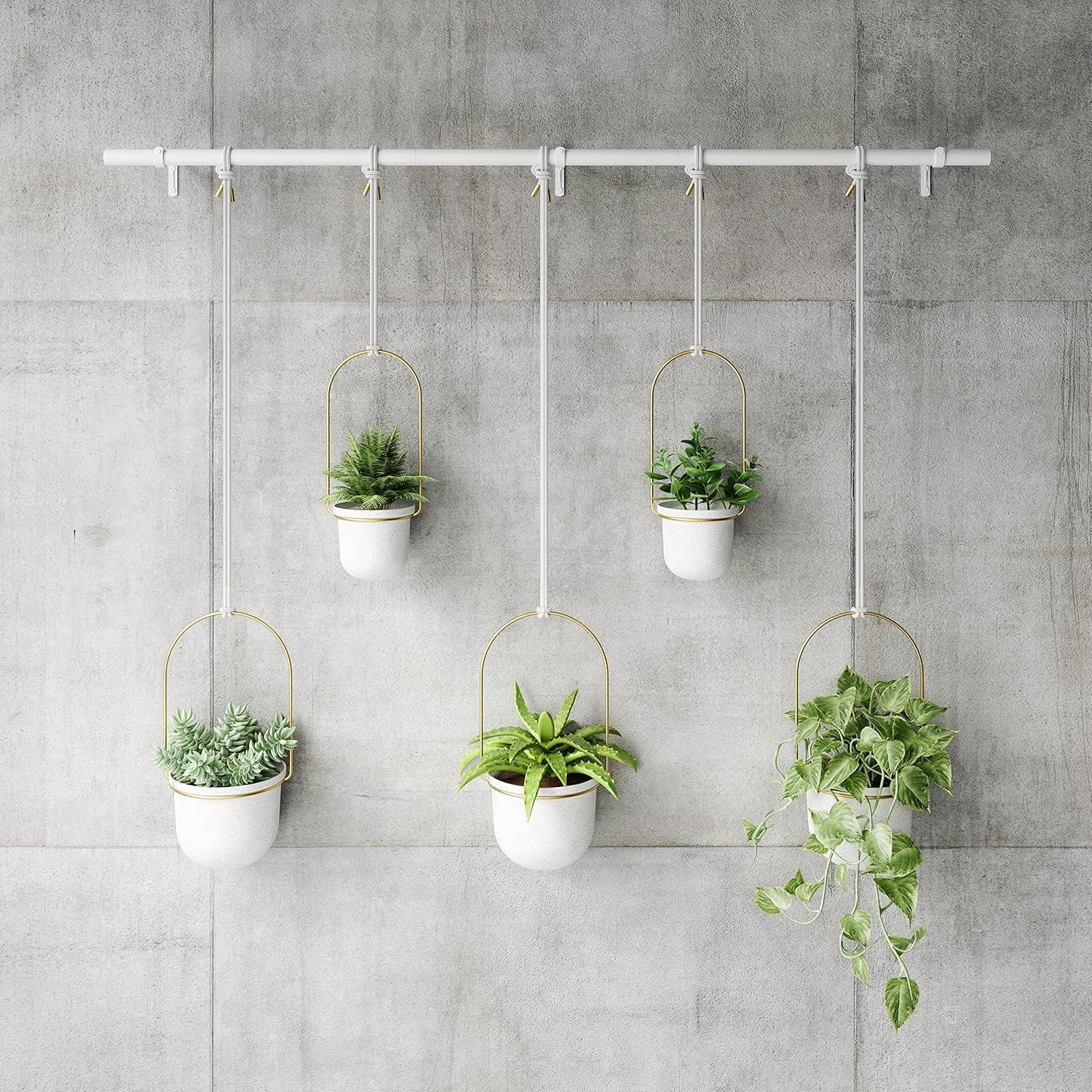 Umbra Hanging Planter