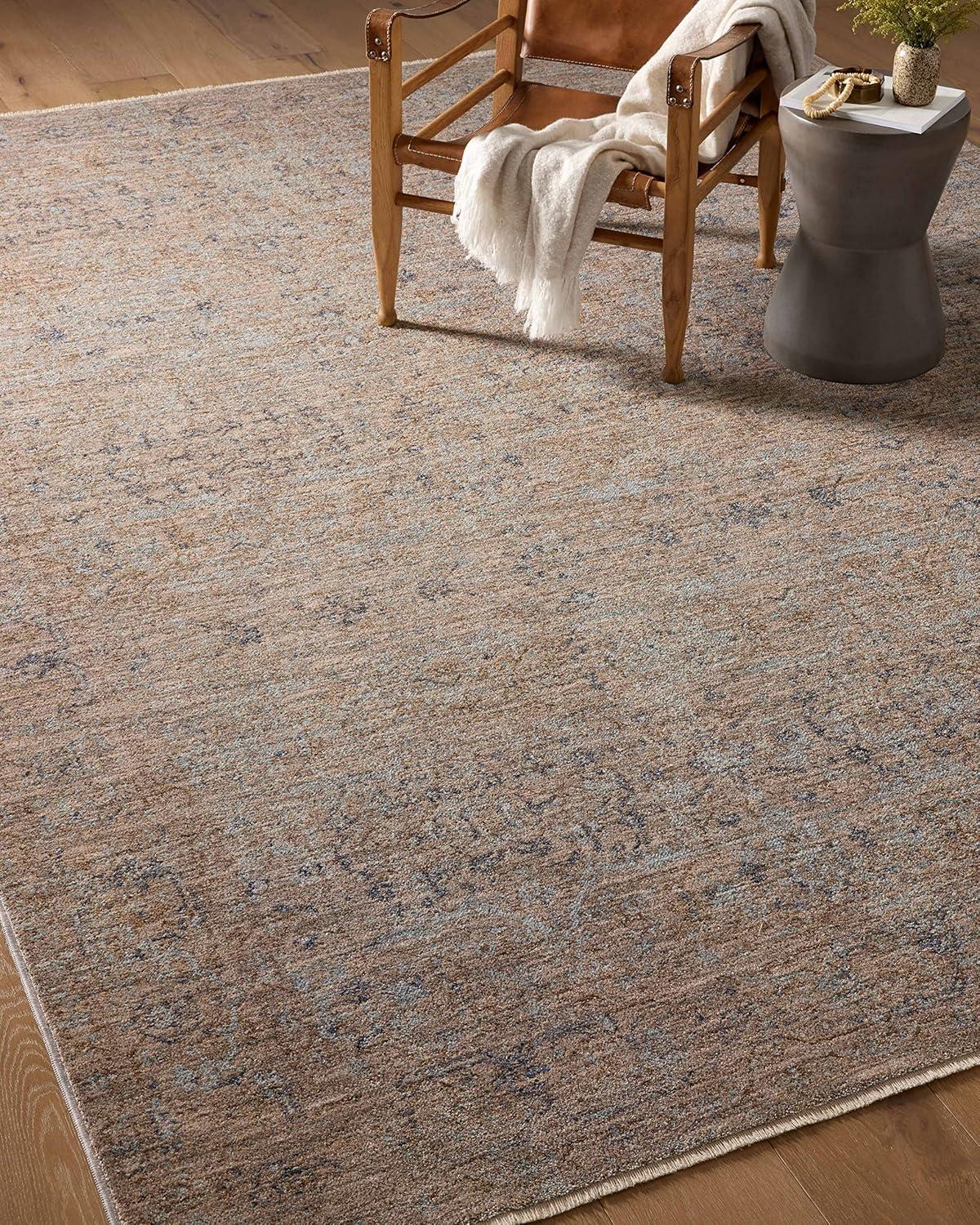 Angela Rose x Loloi Blake Taupe / Blue Area Rug