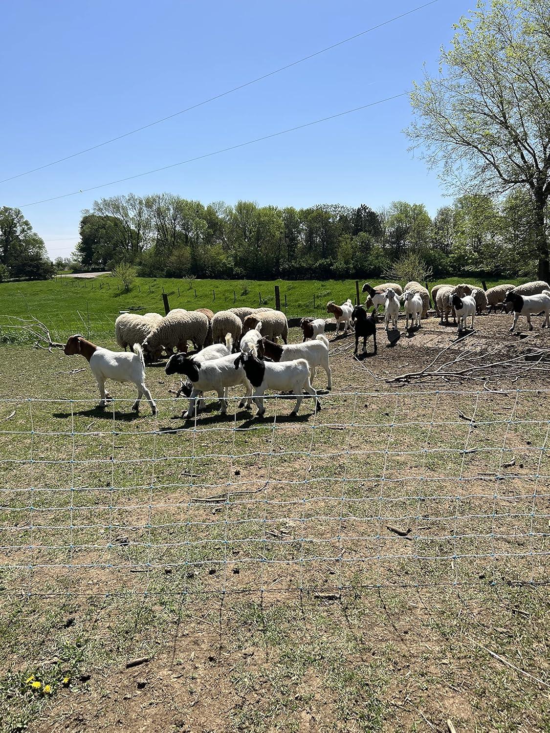 Starkline 35" x 164' Blue Electric Fence Netting with Stainless Steel Conductors