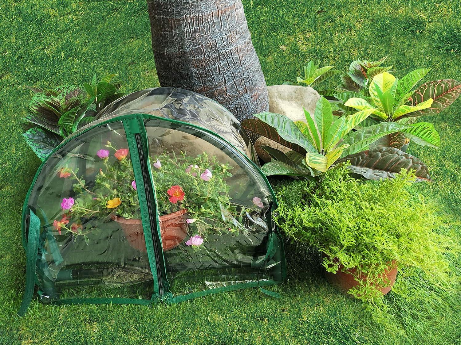 1.5 Ft. W x 1 Ft. D Mini Greenhouse