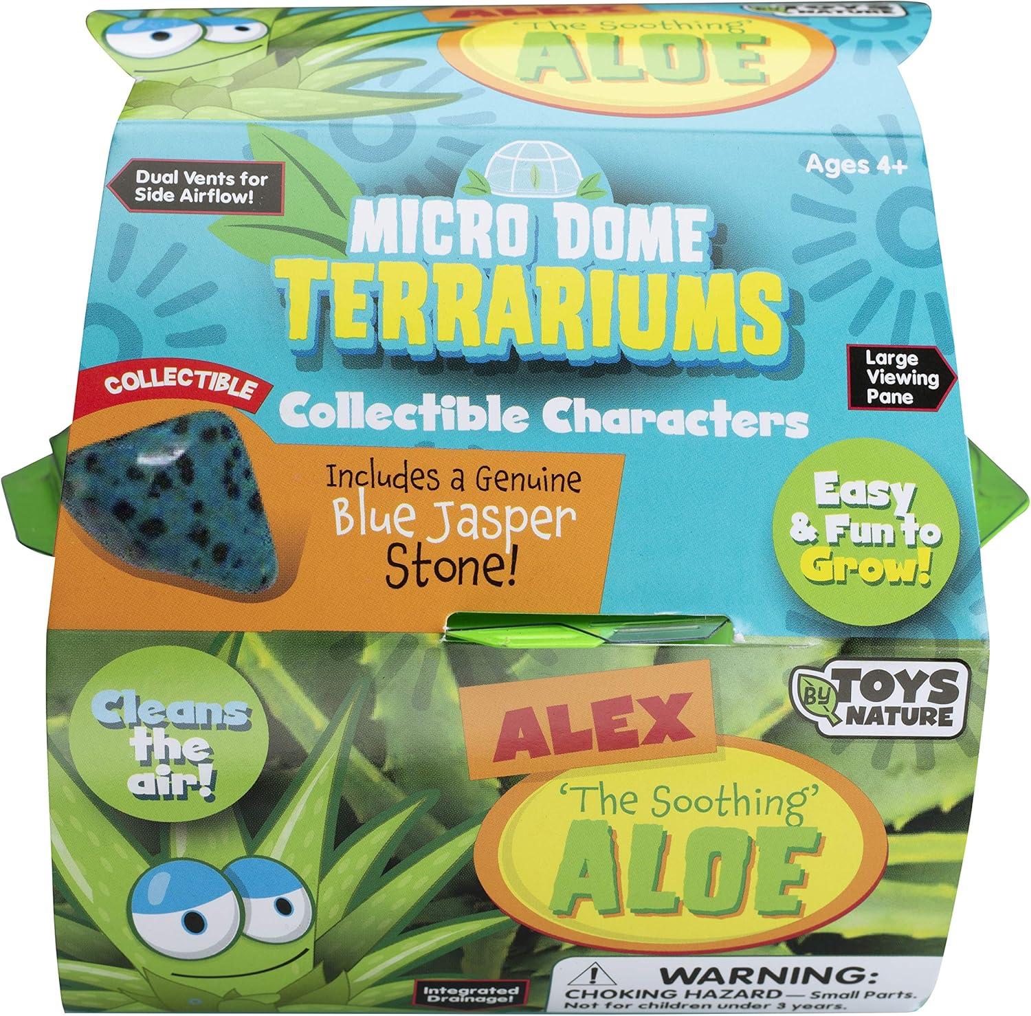 Alex The Soothing Aloe Micro Dome Terrarium Kit with Blue Jasper Stone